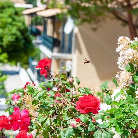 Apart Hotel Blumarin Agios Gordios  Exterior foto